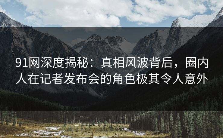 91网深度揭秘：真相风波背后，圈内人在记者发布会的角色极其令人意外