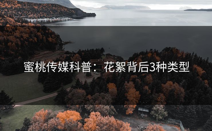 蜜桃传媒科普：花絮背后3种类型