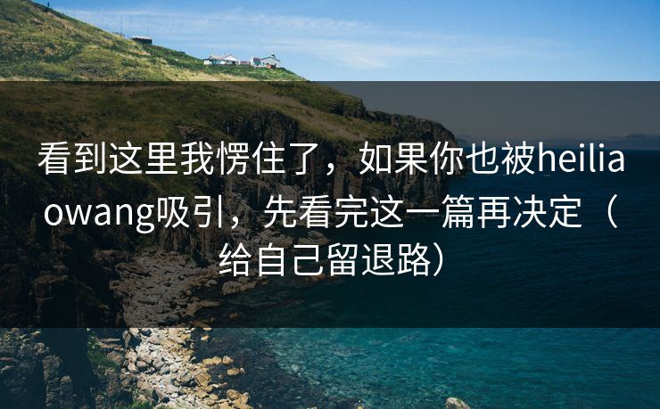 看到这里我愣住了，如果你也被heiliaowang吸引，先看完这一篇再决定（给自己留退路）