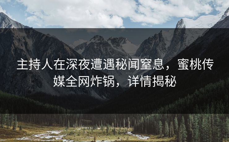 主持人在深夜遭遇秘闻窒息，蜜桃传媒全网炸锅，详情揭秘