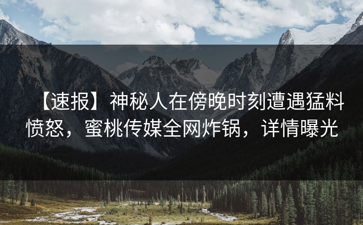 【速报】神秘人在傍晚时刻遭遇猛料愤怒，蜜桃传媒全网炸锅，详情曝光